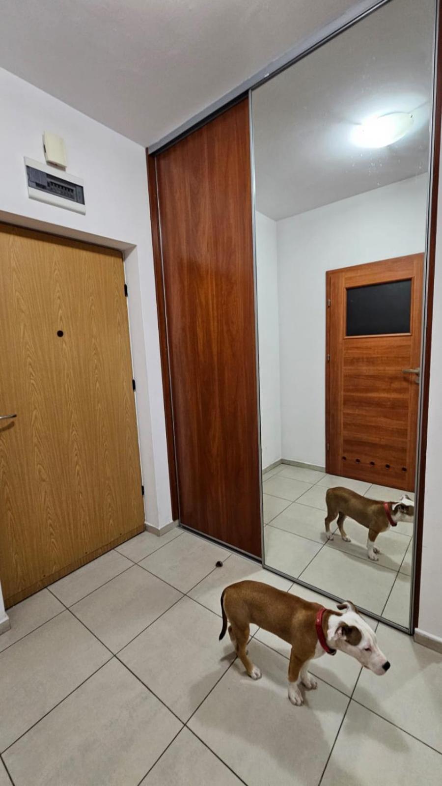 Apartament Lipinskiego Краків Екстер'єр фото