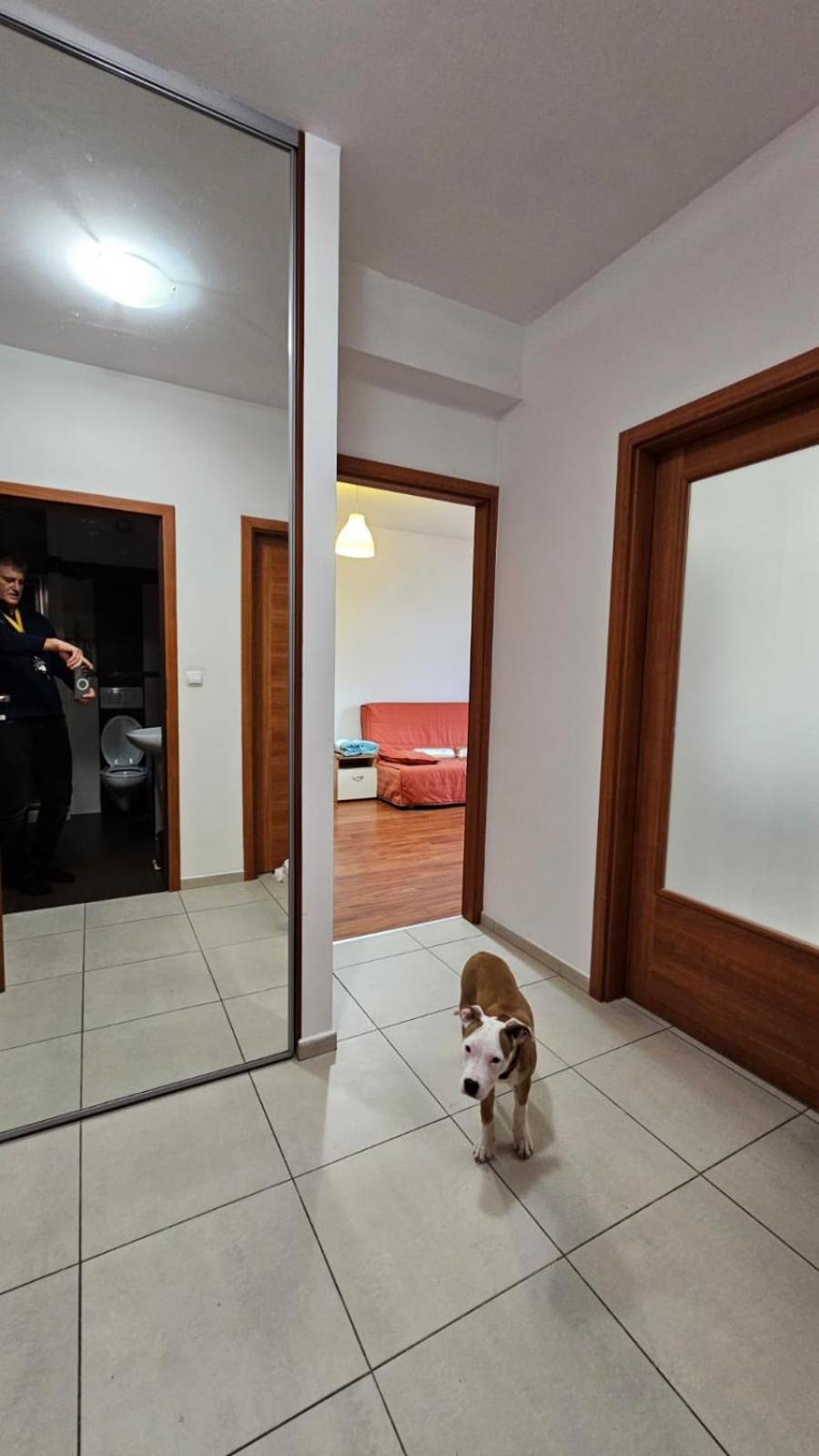 Apartament Lipinskiego Краків Екстер'єр фото