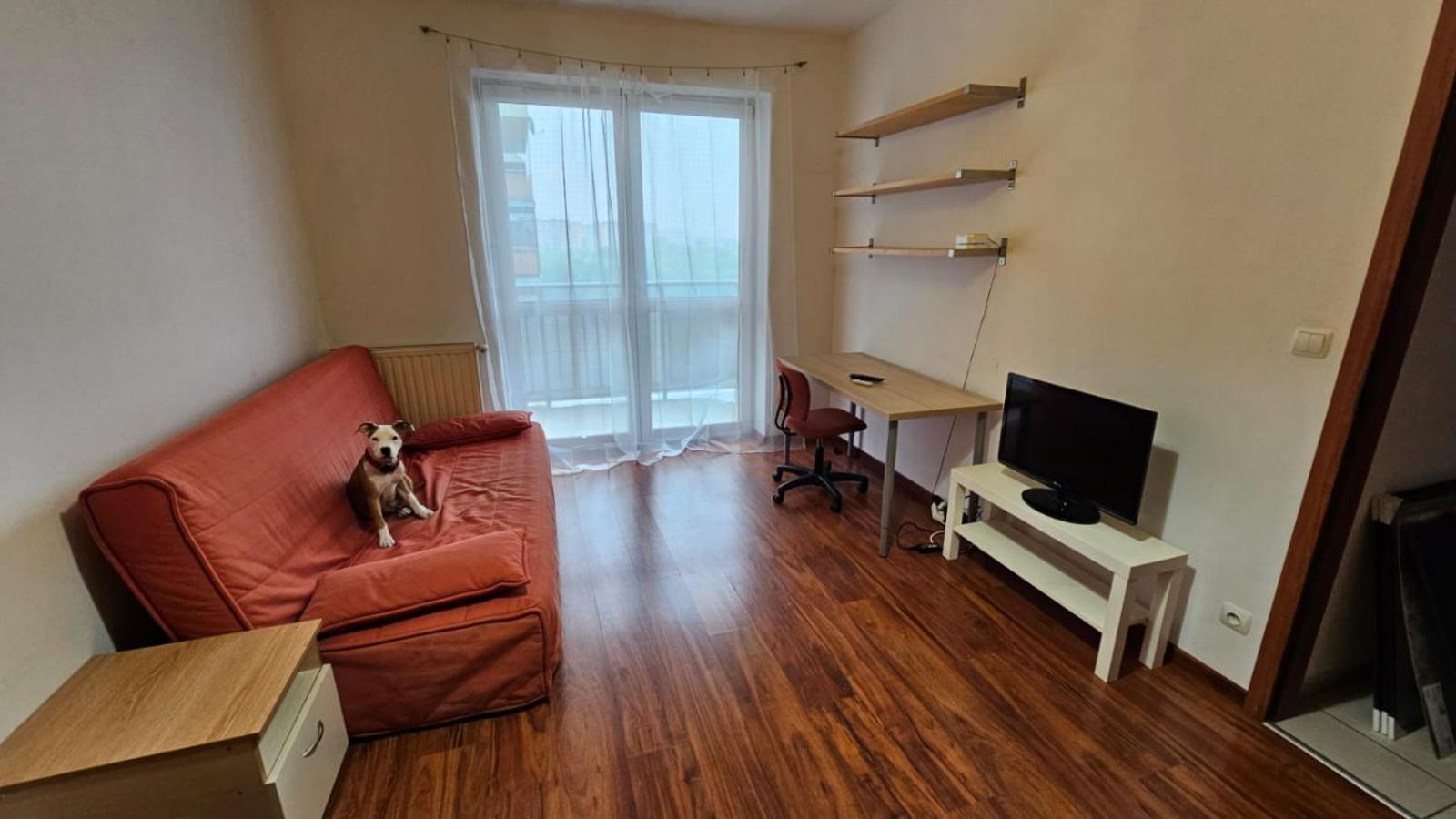 Apartament Lipinskiego Краків Екстер'єр фото