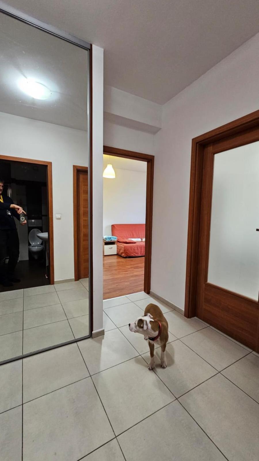 Apartament Lipinskiego Краків Екстер'єр фото