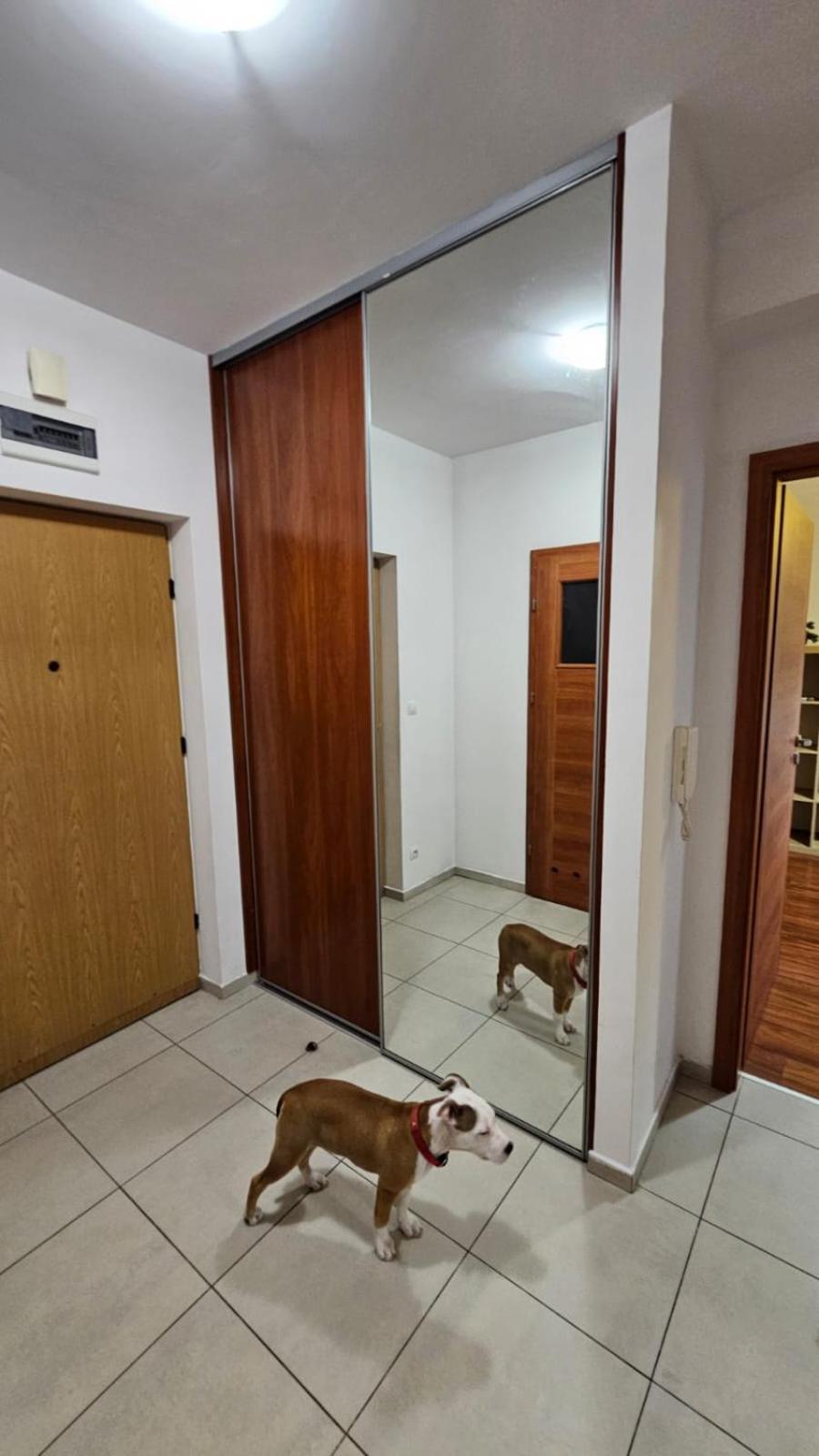 Apartament Lipinskiego Краків Екстер'єр фото