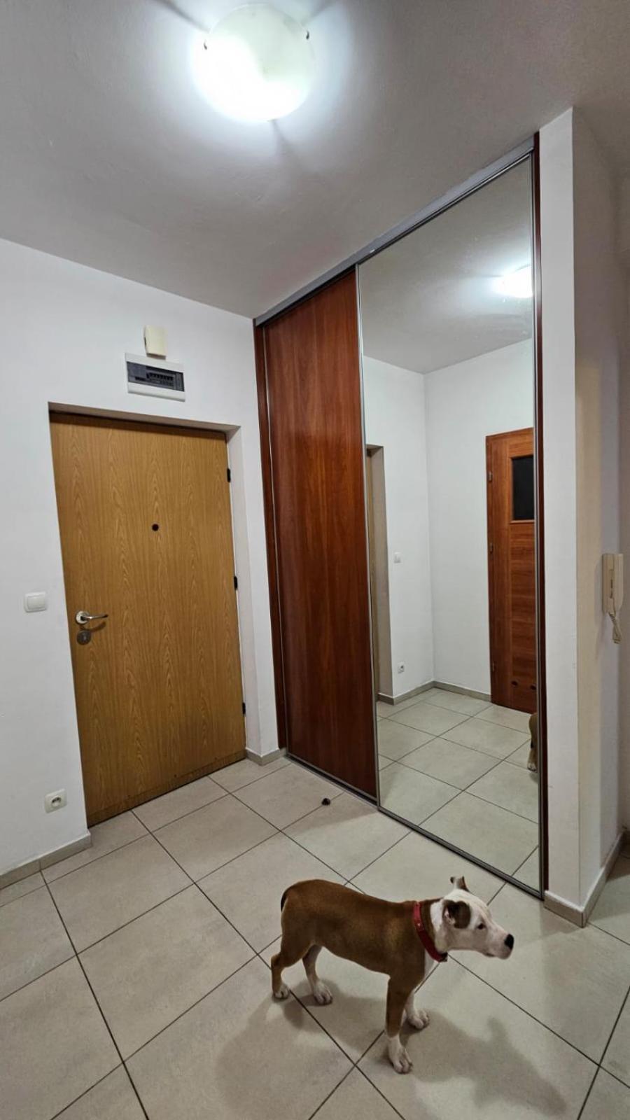 Apartament Lipinskiego Краків Екстер'єр фото