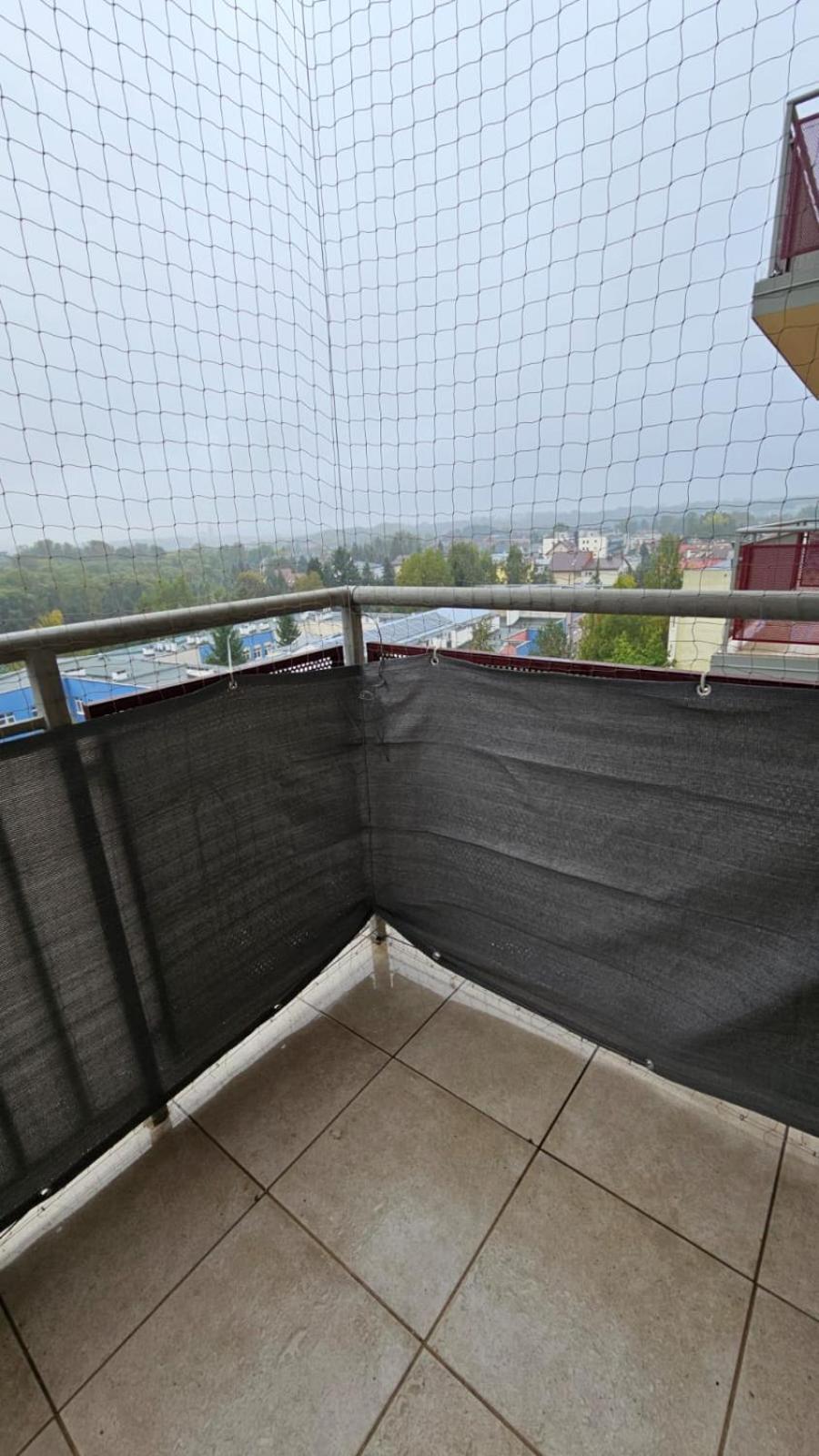 Apartament Lipinskiego Краків Екстер'єр фото