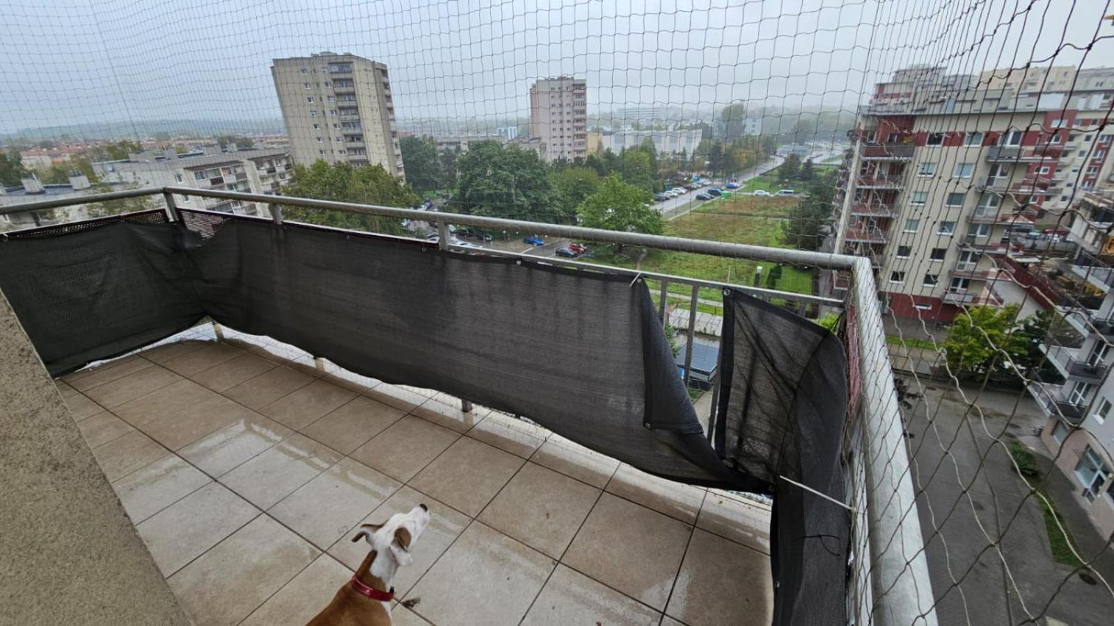 Apartament Lipinskiego Краків Екстер'єр фото