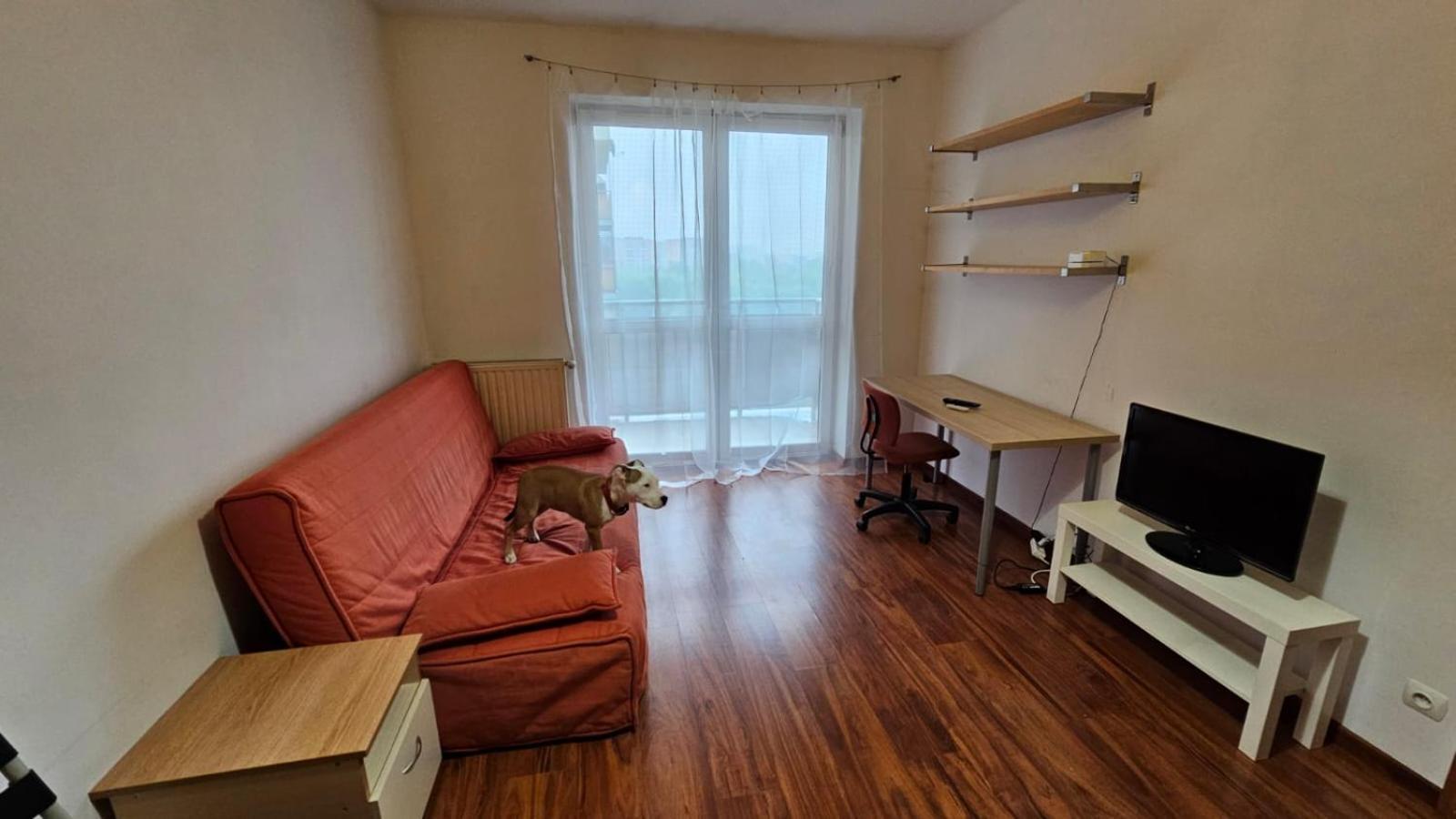Apartament Lipinskiego Краків Екстер'єр фото