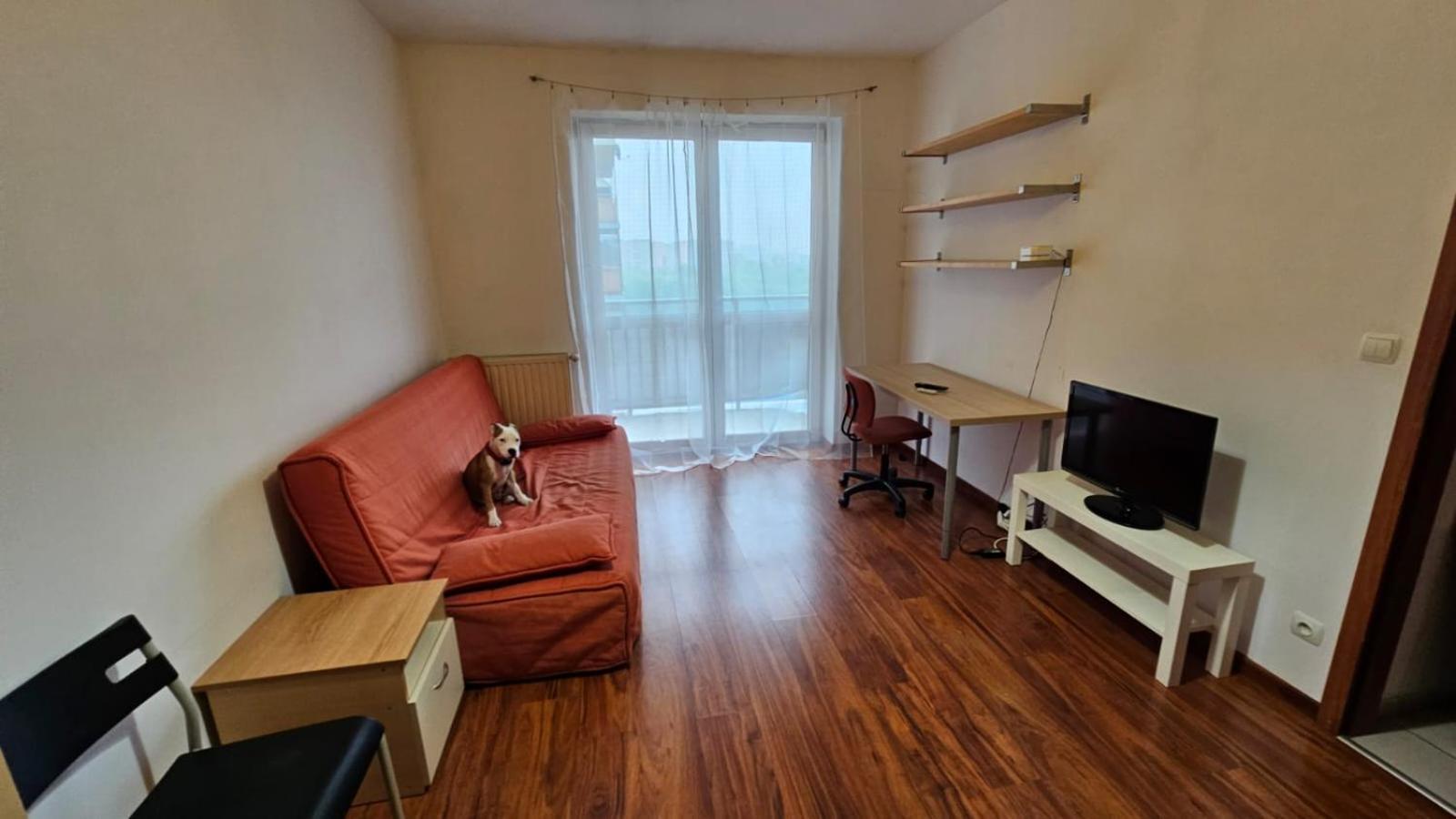 Apartament Lipinskiego Краків Екстер'єр фото