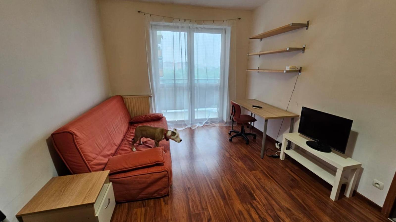 Apartament Lipinskiego Краків Екстер'єр фото